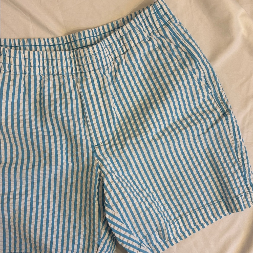 Lands' End Blue and White Striped Women's Shorts